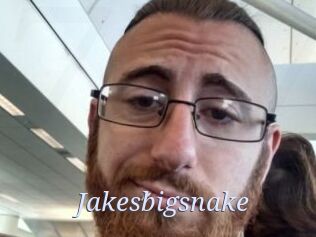Jakesbigsnake