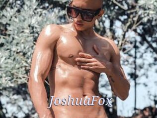 JoshuaFox