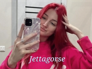 Jettagorse