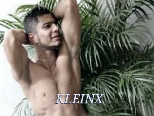KLEINX