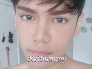 Keibummy