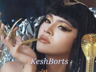 KeshBorts 777 Erotik Chat
