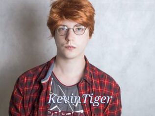 KevinTiger