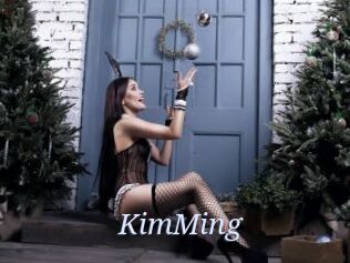 KimMing