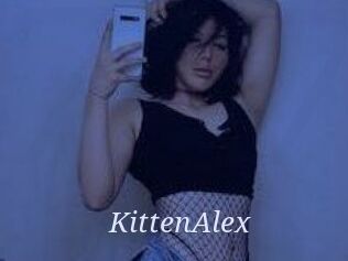 KittenAlex