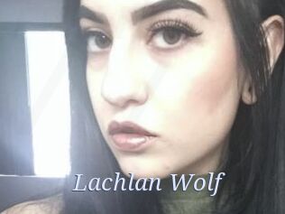 Lachlan_Wolf