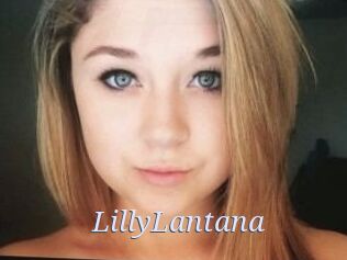 LillyLantana