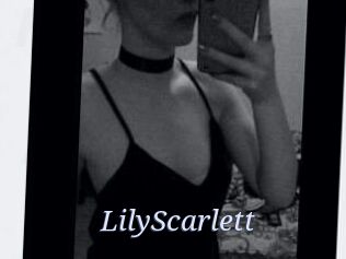 Lily_Scarlett