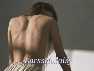 Larssondaisy