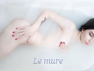 Le_mure