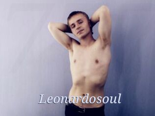 Leonardosoul