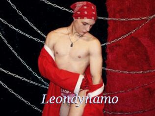 Leondynamo
