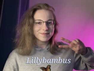 Lillybambus