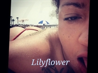 Lilyflower