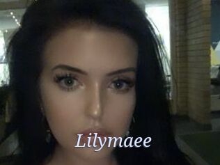 Lilymaee