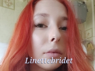 Linettebridet