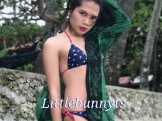 littlebunnyts 777 Erotik Chat