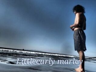 Littlecurly_marley