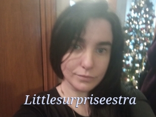 Littlesurpriseestra