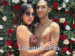 Lizyandmarks