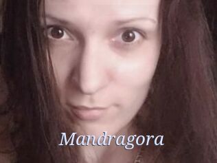 Mandragora