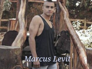 Marcus_Levit