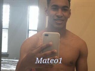 Mateo1