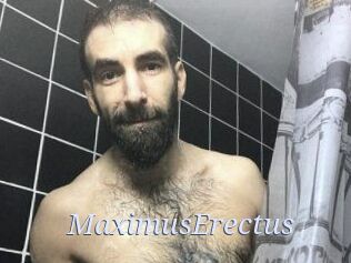 MaximusErectus