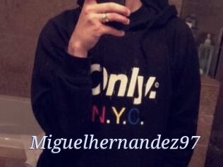 Miguel_hernandez97
