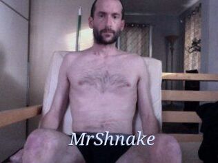 MrShnake