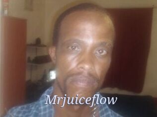 Mrjuiceflow