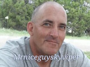 Mrniceguyskyviper