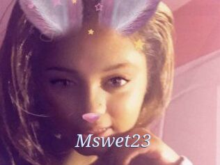 Mswet23