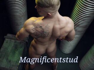 Magnificentstud