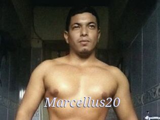 Marcellus20