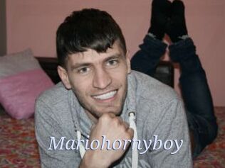 Mariohornyboy