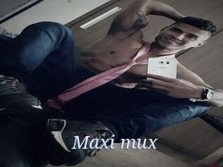 Maxi_mux
