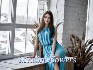 Meadowflowers