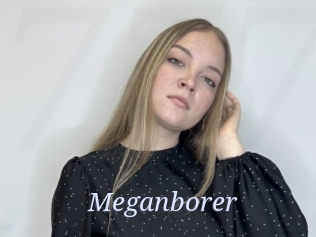 Meganborer
