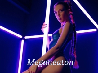 Meganeaton