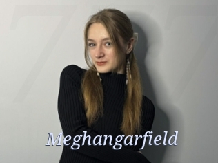 Meghangarfield