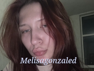 Melisagonzaled