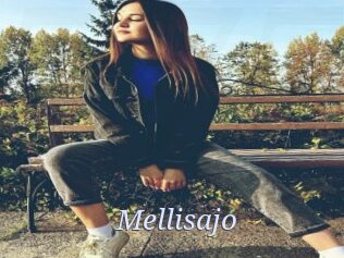 Mellisajo