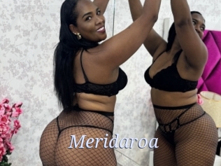 Meridaroa