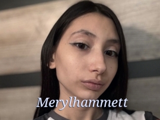 Merylhammett