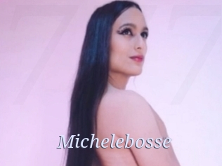 Michelebosse