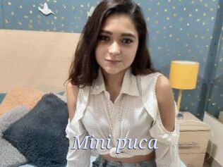 Mini_puca