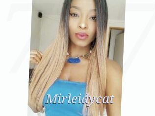 Mirleidycat