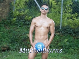 Mitchellburns