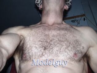 Modelguy